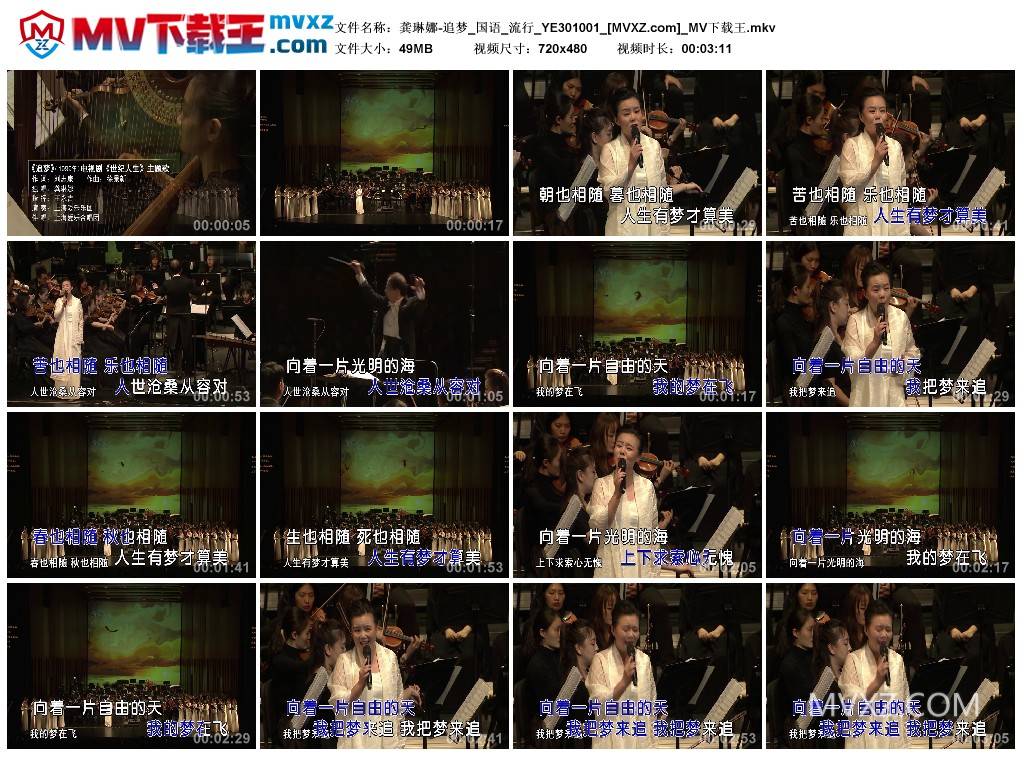 龚琳娜-追梦_国语_流行_YE301001